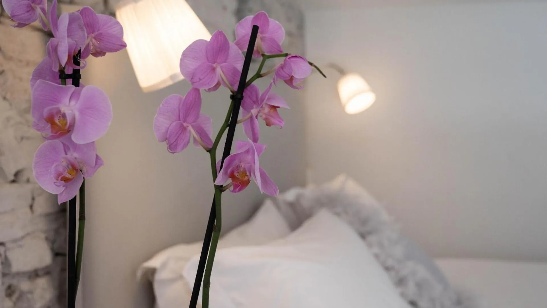 Design Loft Belle Donne Apartment Florence 0*,  Italy
